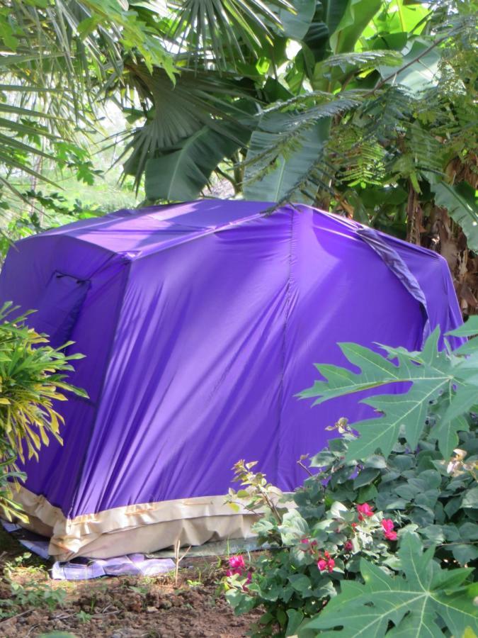 Bahati Diani House Glamping Diani Beach Exterior foto